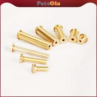 [PETSOLA] Golf Brass Tip Plug Weights Professional Golf Nails Golf Weight, Heavy Duty Brass Shaft Ti