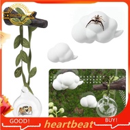 [Hot-Sale] 4pcs Jumping Spider Hide Glass Ball Habitat Cloud Platform Ledges Jumping Spider for Deco