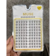 Muse X46 eyelashes - Separate eyelashes attached to each cluster Eyelash Eyelash Extension Cluster E