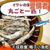 日本 千成商會 梅子小魚乾 小魚乾 沙丁魚 梅味 下酒菜 零食 魚乾  大容量 日式零食【愛購者】