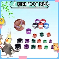 Renna's Foot Bird Ring For Bird Accessories For Love Birds Parrot Foot Ring African Birds 4mm/4.7mm
