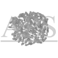 4090 24V 5W BULB  (T10 5W W5W) (EAGLEYE)(100PCS/BOX)