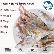 1kg Ikan Masin Bulu Ayam / Salted Fish / Ikan Kering Bulu Ayam / Ikan Bulu Ayam Kering / Ikan Bilis 