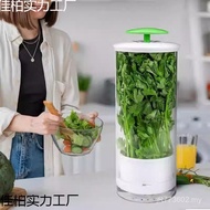 Kitchen New Style Coriander Asparagus Refrigerator Vegetable Large Fresh-keeping Box Fresh-keeping C