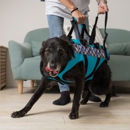寵物輔助衣 一般款L號 高齡犬 行動不便 寵物輔具 協助上下行走