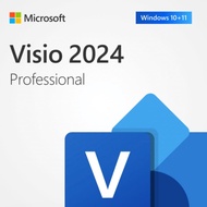 program visio professional 2024