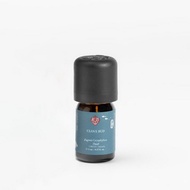 丁香花苞 精油/ 辛香調/ 單方精油