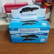 PRO ALBUMIN kapsul ikan gabus