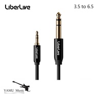LiberLive 3.5mm To 6.5mm Audio Cable