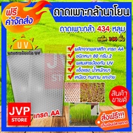 ถาดเพาะกล้านาโยน(แบบหนา)  434หลุม มีให้เลือกแพ็ค 1-500ถาด (Seedling tray) ถาดเพาะต้นกล้า ถาดเพาะเกรด