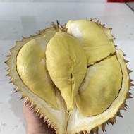 yukBeli- Duren Montong / Durian Monthong Palu Fresh Buah utuh 3kg-4.5kg