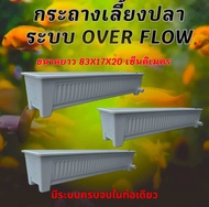 กระถางเลี้ยงปลา overflow ท่อสีขาว สามารถปรับระดับน้ำตามที่ต้องการได้ กะบะเลี้ยงปลา อ่างเลี้ยงปลา อ่า