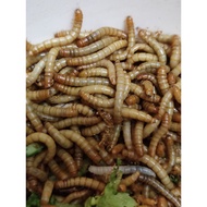 100g Dried Mealworm Food for Rats, Chicks, Fish, Turtles, Birds