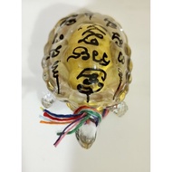 Luang Phor Mian·龙婆棉，亿万富翁财龟供奉型·背面二哥丰