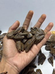 KAYU GAHARU TIGER KALIMANTAN PURE OUD AGARWOOD SANAI ORIGINAL MOHASSAN PENGHARUM RUANGAN DUPA BAKAR