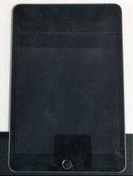 iPad mini 5  (256GB  Wi-Fi +LTE)