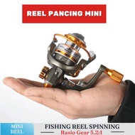 Reel Pancing Mini Spinning Handle
