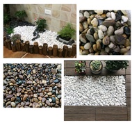 Decorative River Stones Decorative Stone/s Decorative Stone/s for Pots