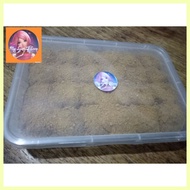 ◙ ✨ ◑ Graham Balls Original Honey Grahams 24 pcs