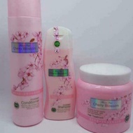Cherry blossom shampoo set 3in1