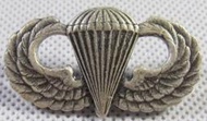 SO-307 美軍 公發 跳傘章  霧面 傘徽 美國 陸軍 US ARMY - 軍服 軍常服