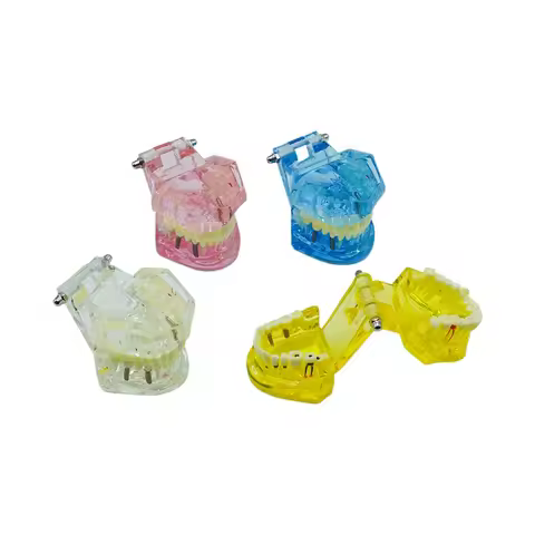 1PC Dental Implant Training Model Removable Teeth With Pathology Demo For Bridge Restoration Implant