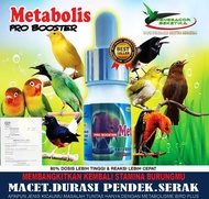 Metabolisme Penggacor Seketika Vitamin Burung Kicau