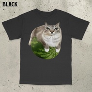 [Cod] Watermelon Cat Shirt Funny Meme Shirt Cat Meme Shirt Stupid Meme Shirt Cursed Cat Shirt Gen Z 
