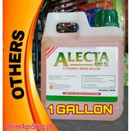 ALECTA (1 GALLON) SYSTEMIC WEED KILLER GLYPHOSATE 480 SL by ISIDORE AGROCHEMICALS, INC