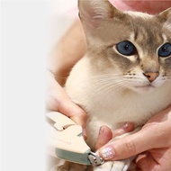 【日本DoggyMan】輕鬆在家做寵物美容 ! BS系列 指甲剪/指甲銼刀