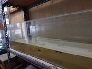 Aquarium kaca ukuran 100x35x30 akuarium