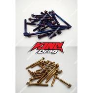 KINGDRAG Y15ZR Y15Z Y15 LC135 4S 5S  ENGINE SCREW SCRU SKRU TITANIUM/GOLD THAILAND KINGDRAG EXHAUST 