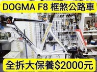 DOGMA F8 框煞 C夾 公路車 全拆大保養 拆頭碗培林保養 拆BB培林保養 拆輪組花鼓培林保養 拆棘輪座培林保養