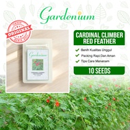 GARDENIUM Benih Bunga Cardinal Climber Red Feather