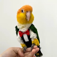 3D Handsome Suit Breathable Mesh Diaper Flight Suit for Parrot, Prevent random pooping
