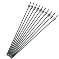 10Pcs Archery Carbon Arrows Spine Fiberglass Practice Targeting Arrows Removable Nock Hunting Arrows
