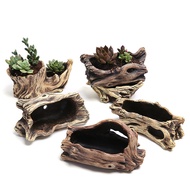 [48H Shipping] Creative Cement Succulent Flower Pot Old root carving succulent flower pot, ecologica