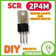Scr 2p4m