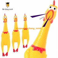 Squeaky chicken toy, screaming chicken