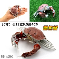 Mô Hình Tôm Hùm Nhựa Thực Tế Tôm Hùm Hoàng Gia Mô Hình Tôm Hùm Giả Tôm Hùm Đồ Chơi Đồ Trang Trí Mô H