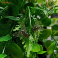 [risingmp] Fly Fishing Bait, Fly Soft Bait, Biomimetic Soft Plastic Bait