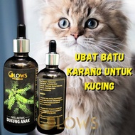 UBAT BATU KARANG KUCING.POKOK DUKUNG ANAK