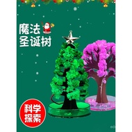Pokok Krismas produk premium menyiram pokok kertas yang akan mekar, pokok sihir ajaib, hadiah mainan