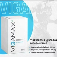 obat herbal pria kuat tahan lama memelihara stamina vigamax asli