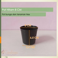 Pot Bunga Tanaman Hitam Polos 8 / Pot Bibit / Pot Semai Plastik Murah