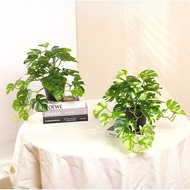 Artificial Plants Indoor  Fake Monsters Faux Potted Plants Indoor for Home Farmhouse Bedroom Living 