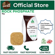 BAJA PENGGALAK AKAR (EGYPTIAN ROCK PHOSPHATE 26-28% P2O5)