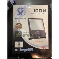 Iwachi Flood Light 100w