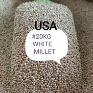 (1Gunny) White Millet 20kg Bird Feed Food Sekoi Putih Makanan Burung