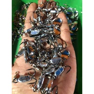 [KITALIAN] replacement black BKK blade to install F28pro 2.8c mini imitation body